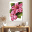 Hibiscus rose vif Harnek-108366251