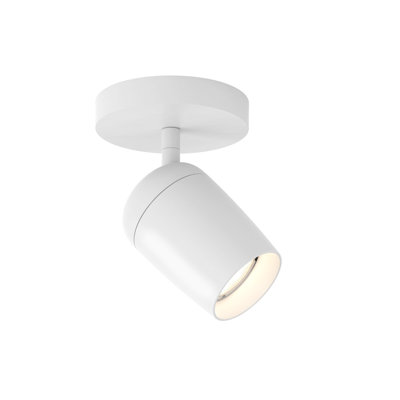 Koto 1 - Light Spotlight