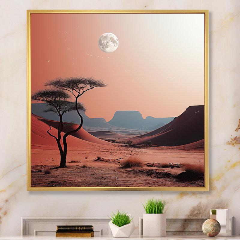 Moon Moon Cosmos corail sur toile, Cadre flottant doré, H 30 po x l 30 po x P 1 po