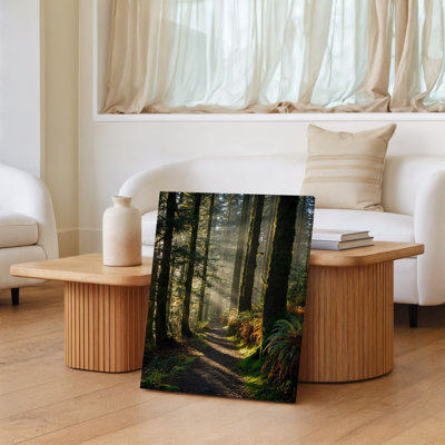Canvas A Serene Forest Scene Featuring Towering Trees With Lush Green Wall Art Foliage Their Trunks Adorned With Vibrant Moss A Canvas Wall Art
