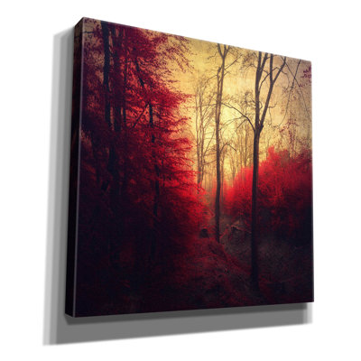 Loon Peak 'Ruby Red Forest' by Dirk Wustenhagen Canvas Wall Art, 37" x 37"