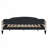 Full Size Upholstered Tufted Daybed with Two Drawers