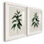 «Soft Greenery I-Premium», reproduction encadrée prête à être accrochée-1830010281-1830010275