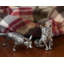 Morning Hunt Salt And Pepper Shaker Set