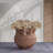 Terracotta Vase Dia 7.5" X 7" H