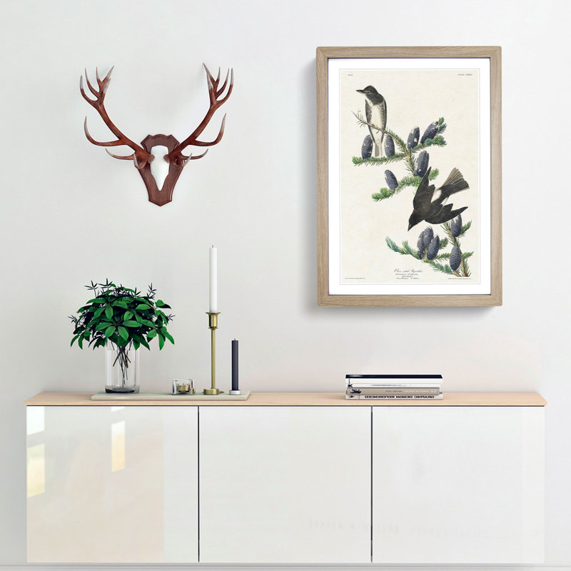 Olive-Sided Fly Catcher Bird by John Audubon - Picture Frame Painting Print, 65cm H x 48cm W x 2cm D, Oak Framed