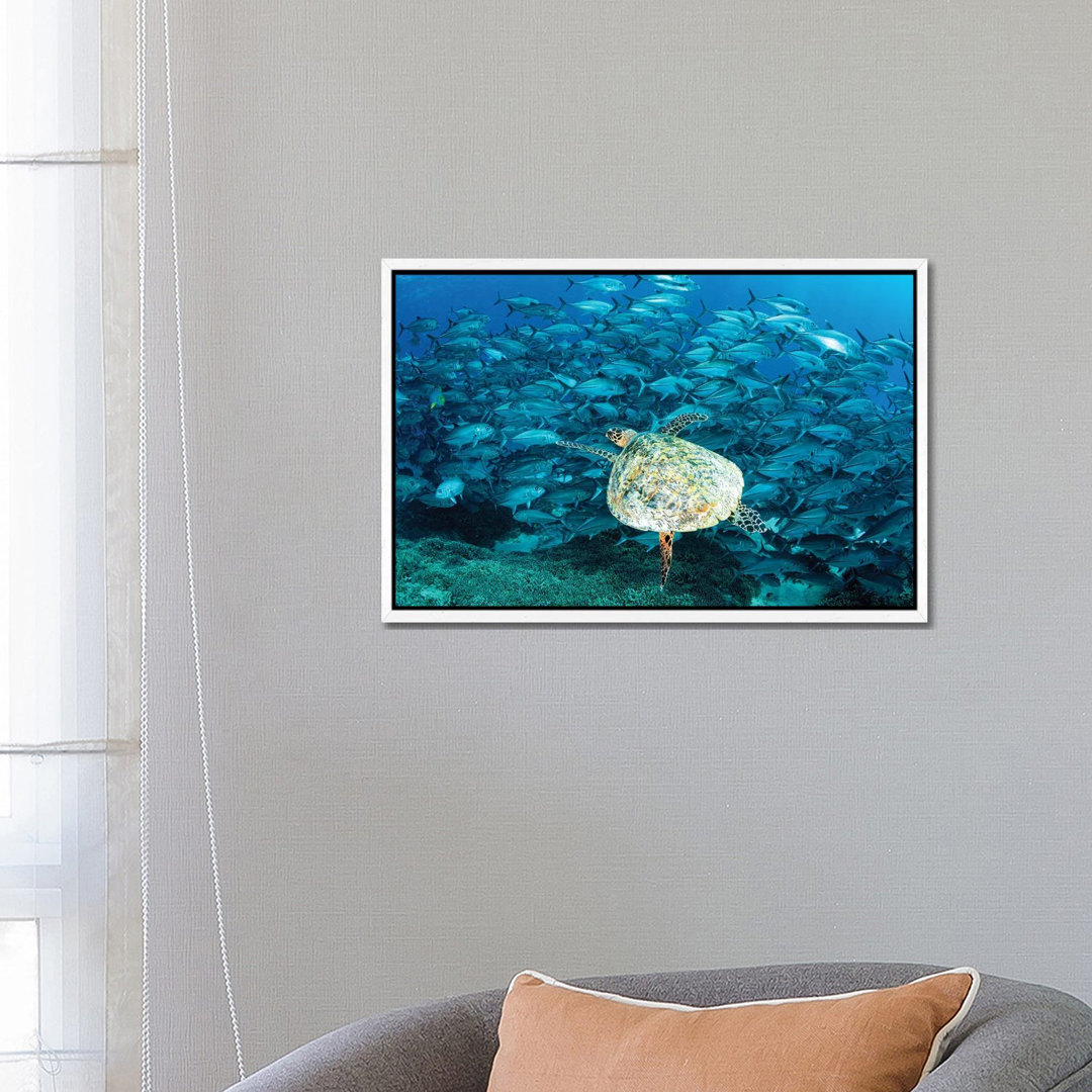 Peak Hour On The Reef von Jordan Robins - Gallery-Wrapped Canvas Giclée on Canvas