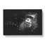 Ape - Wrapped Canvas-56645372