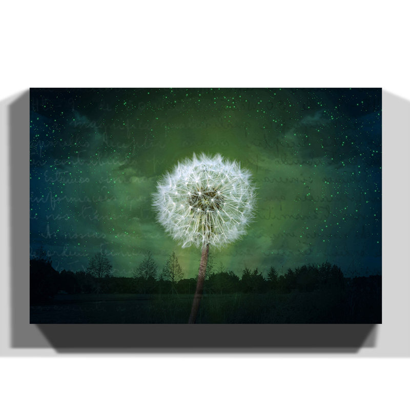 Wrapped Canvas Print, 50cm H x 76cm W