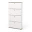 Barbaa 12 Pair Shoe Storage Cabinet