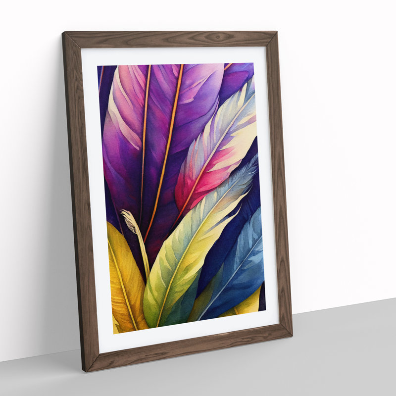 Feathers In Technicolour No.2 - Single Picture Frame Print, 34cm H x 25cm W x 2cm D, Walnut