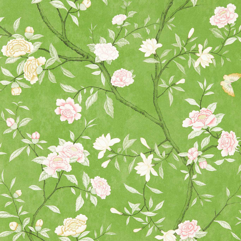 Nostell Priory Wallpaper, Evergreen