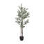 165cm Faux Olive Tree Tree in Freestanding
