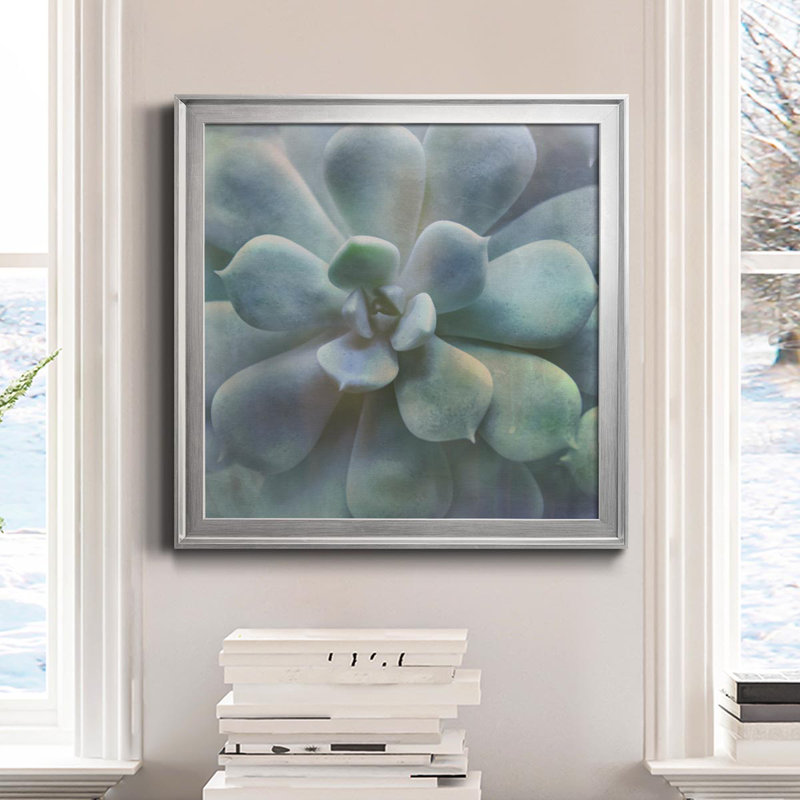 Soft Succulent II - peinture sur toile encadrée, Cadre argenté, H 34,5 po x l 34,5 po x P 1,5 po