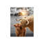 Art mural en toile sans cadre 16 po x 20 po Longhorn