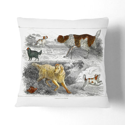 Square Throw Cushion