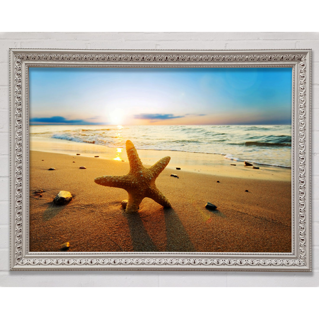 Starfish Sun Glow - Einzelner Bilderrahmen Kunstdrucke