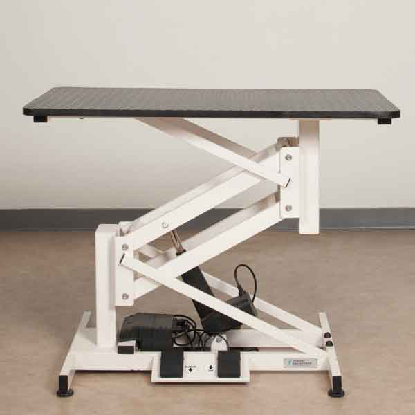 Ivory and Black Heavy-Duty Steel Electric Grooming Table