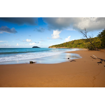 Golden Sand Beach In Guadeloupe by Stevegeer - No Frame Art Prints on Canvas