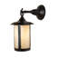 1 - Light Armed Sconce