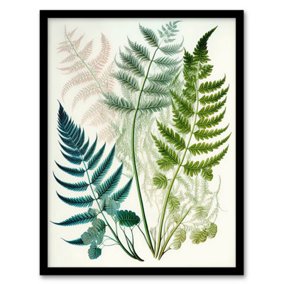 Elegant Fern Fronds Foliage Green Teal Pink Bright Nature - Single Picture Frame Print