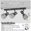 Lucien Flush Mount
