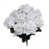 Blanc est en rupture de stock