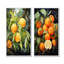 «Orange Fruit Illumination - Fruit», ensemble de 2 reproductions d'art sur toile-678220846-678220840