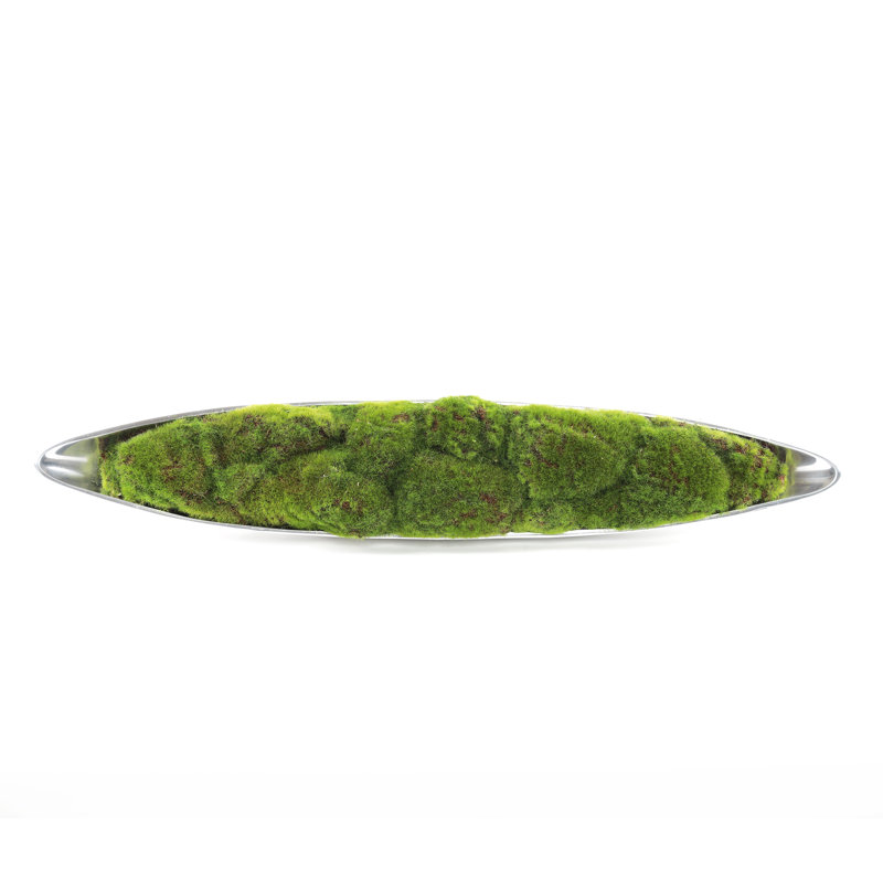 Faux Moss in Metal Boat Tray