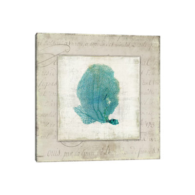 Chambray Coral II by Aimee Wilson - Wrapped Canvas Print