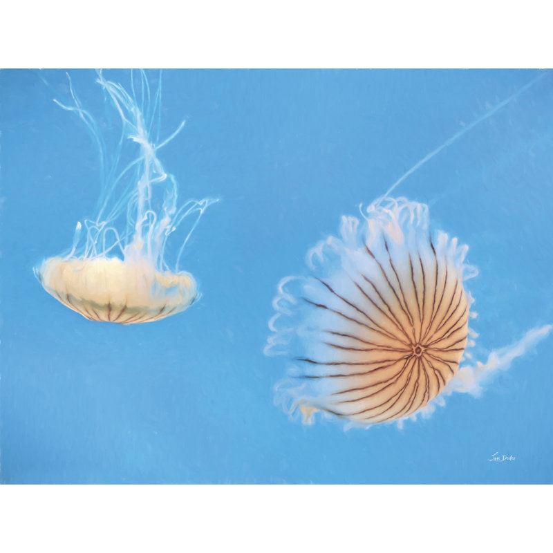 Jellyfish Dance II, H 8 po x l 12 po