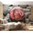Wall Mural-885855244