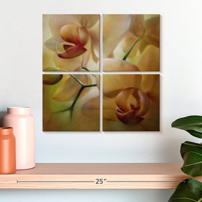 Orchidée Harnek - beige