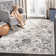 Newhouse Oriental Silver/Gray Area Rug