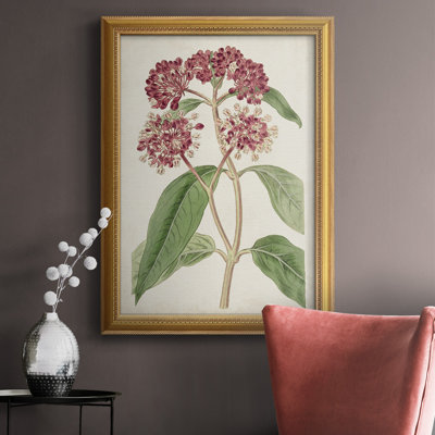Toile encadrée de qualité supérieure Antique Botanical Collection