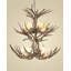 Isaac 12 - Light Chandelier-505127792-435226651-435226653