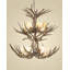 Jacques 12 - Light Tiered Chandelier-197006904-219558708