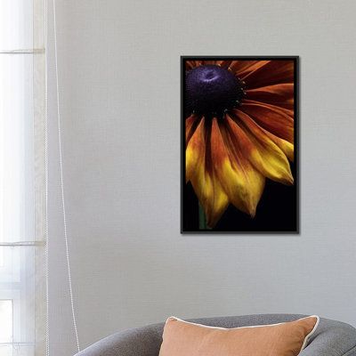 « rudbeckia summerina », reproduction de photo sur toile
