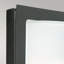 Warfield 1 Light Outdoor Flush Mount-24670745