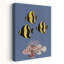 Poisson-lion et poisson tropical-133609497