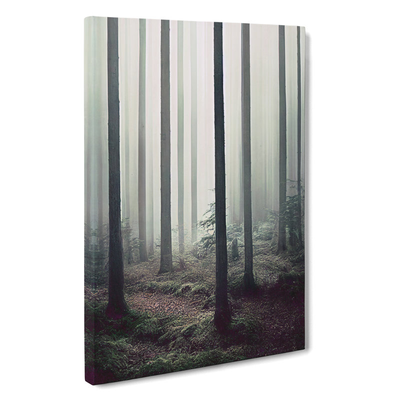 A Quiet Forest - Print, Wrapped Canvas, 50cm H x 35cm W x 3cm D, No Matte