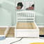 Lit plateforme simple en bois avec lit gigogne-110209597