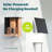 Birdfy Solar Powered Bamboo Smart Bird Feeder AI Lifetime Free  With Motion Detection Wireless Camera, Black