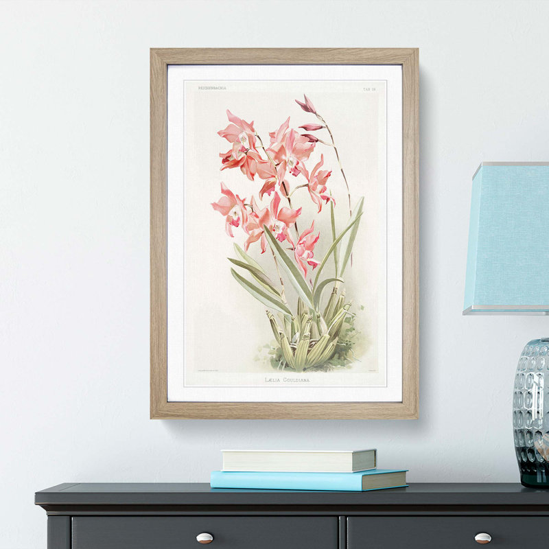 Magnolia Flowers Illustration Tab. 59 by Frederick Sander - Picture Frame Painting Print, Oak, 60cm H x 40cm W x 2cm D