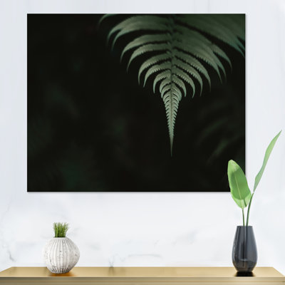 " Dark Green Ferns In The Forest II "