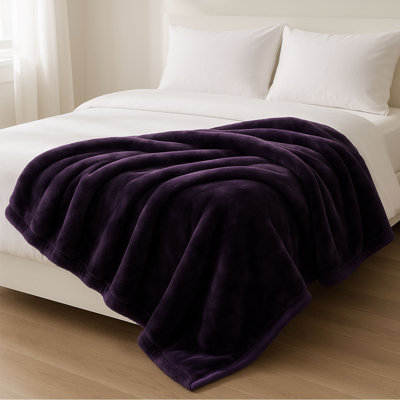 Thick Plush Mink Blanket