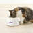 Anti-Skid Pet Bowl-85011247-85011248