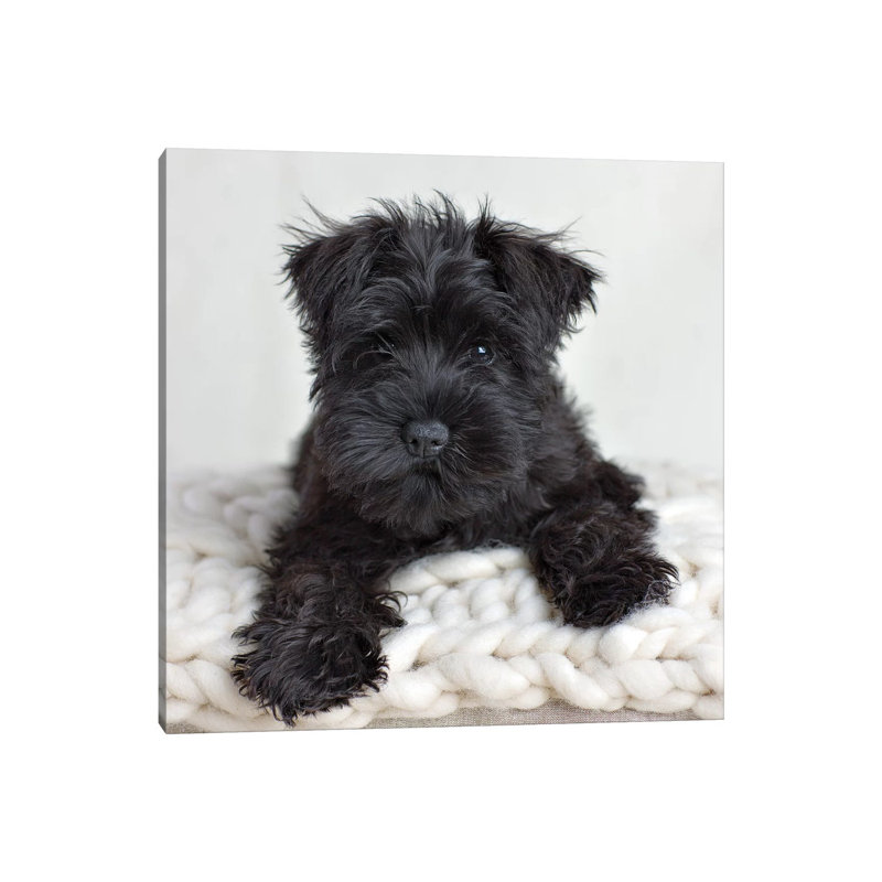 Neddy 1 Piece Wall Art on Canvas, 93.98 cm H x 93.98 cm W x 1.91 cm D, Wrapped Canvas
