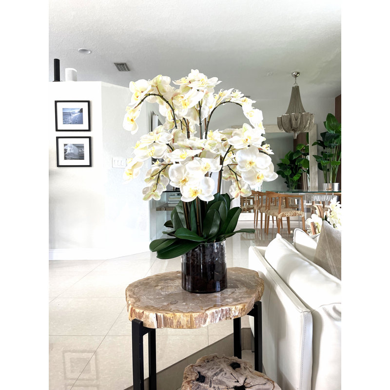Blooming Orchid in Vase, Green