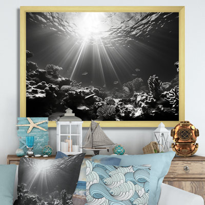 Photo sous-marine en corail noir et blanc - Art mural corail sous l'eau